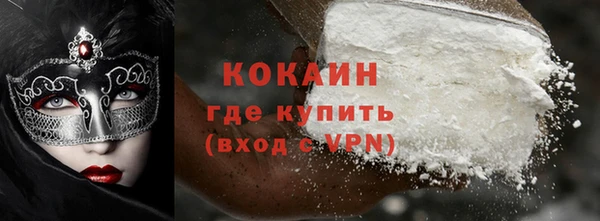 твердый Вяземский
