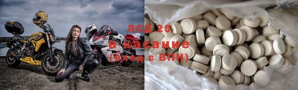 твердый Вяземский