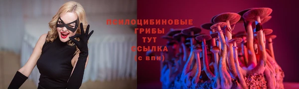 твердый Вяземский