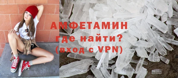 твердый Вяземский