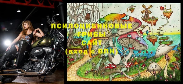 mix Гусев